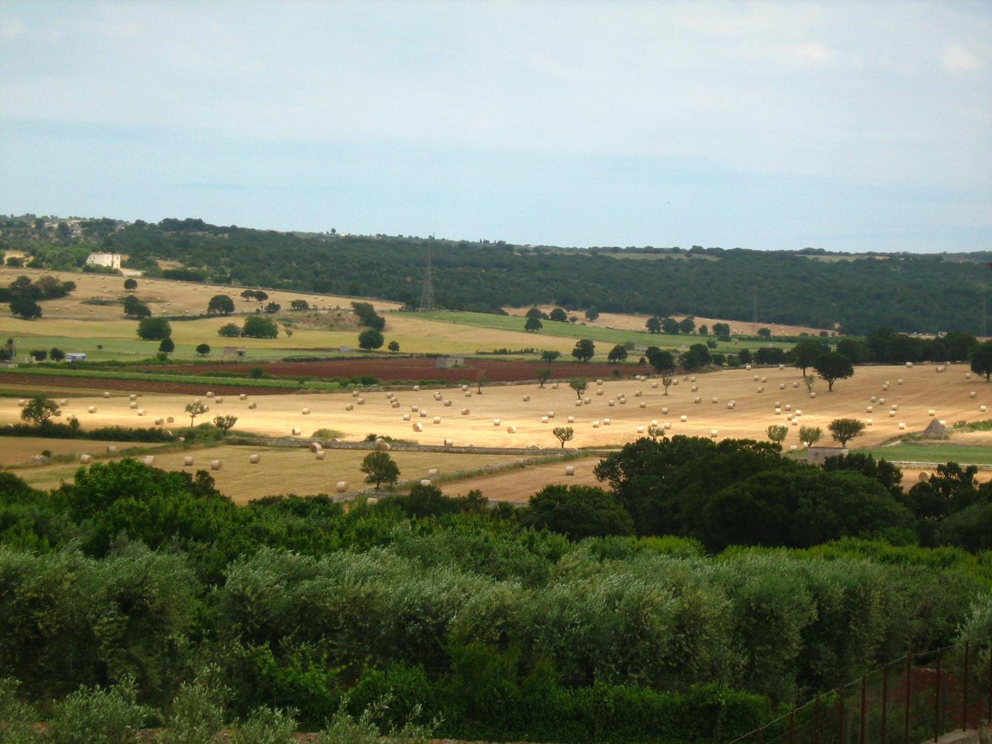 Masseria Torricella Alberobello Eksteriør bilde